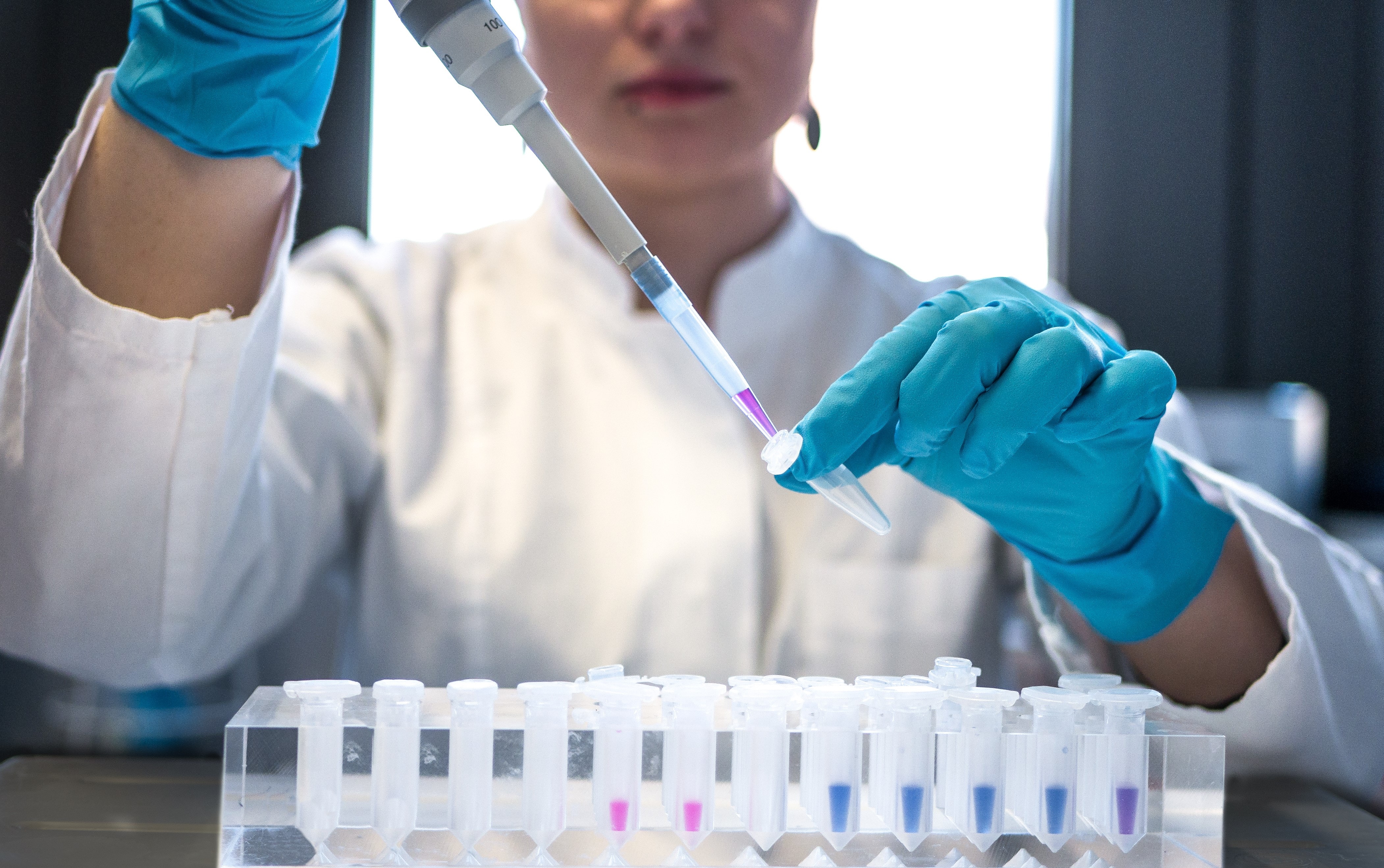 Working at BioQuant - Image credits: Julia Koblitz via Unsplash